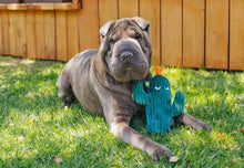 Load image into Gallery viewer, P.L.A.Y Blooming Buddies Prickly Pup Cactus Plush Dog Toy