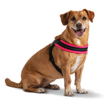Load image into Gallery viewer, Tre Ponti Easy Fit Mesh Fluo Pink Harness with Adjustable Girth