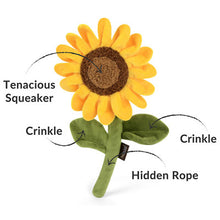 Load image into Gallery viewer, P.L.A.Y Blooming Buddies Sassy Sunflower Plush Dog Toy