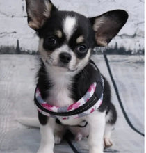 Load image into Gallery viewer, Tre Ponti Easy Fit Mesh Pink Camo Harness with Adjustable Girth