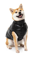 Load image into Gallery viewer, Fuzzyard The Eastcoast Harness Jacket - Black