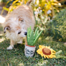 Load image into Gallery viewer, P.L.A.Y Blooming Buddies Aloe-ve You Plant Plush Dog Toy