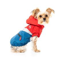 Load image into Gallery viewer, Fuzzyard The Seattle Raincoat - Red & Blue