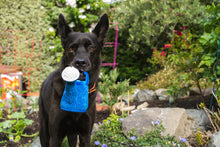 Load image into Gallery viewer, P.L.A.Y Blooming Buddies Wagging Watering Can Plush Dog Toy