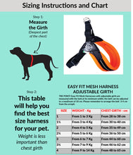 Load image into Gallery viewer, Tre Ponti Easy Fit Mesh Fluo Orange Harness with Adjustable Girth