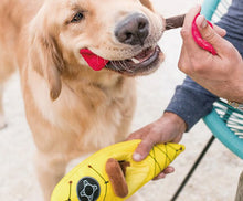 Load image into Gallery viewer, P.L.A.Y Camp Corbin K9 Kayak Plush Dog Toy