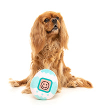 Load image into Gallery viewer, “Fuzzyard Tamadochi Retro Dog Toy”