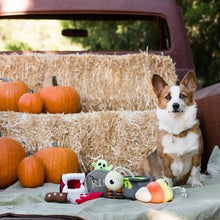 Load image into Gallery viewer, P.L.A.Y - Howling Haunts Barky's Bite Dog Toy