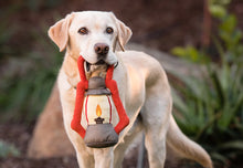 Load image into Gallery viewer, P.L.A.Y Camp Corbin Pack Leader Lantern Plush Dog Toy