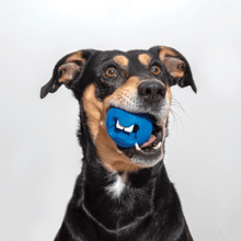 Load image into Gallery viewer, Rogz Fred Dog Treat Toy - Lime