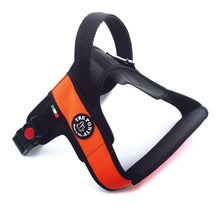 Load image into Gallery viewer, Tre Ponti Primo Plus Orange Harness