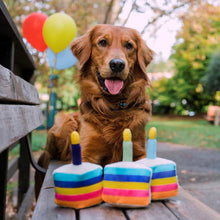 Load image into Gallery viewer, Party Time Bone-Appétit Cake Plush Dog Toy by P.L.A.Y.