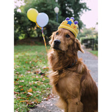 Load image into Gallery viewer, P.L.A.Y Party Time Canine Crown Plush Dog Toy