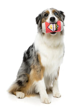 Load image into Gallery viewer, FuzzYard Lager Plush Dog Toy with Squeaker