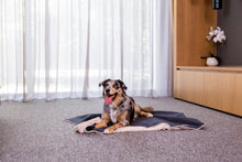 Load image into Gallery viewer, Fuzzyard Life Luxury Comforter Blanket - Slate Grey