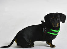 Load image into Gallery viewer, Tre Ponti Easy Fit Mesh Fluro Green Harness with Adjustable Girth