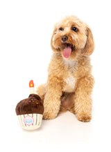 Load image into Gallery viewer, Fuzzyard Birthday Cupcake Plush Dog Toy