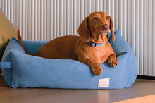 Load image into Gallery viewer, Fuzzyard Life Corduroy Bed - French Blue