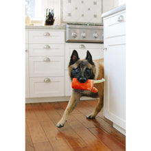 Load image into Gallery viewer, P.L.A.Y Brunch Buddy Mary Plush Dog Toy