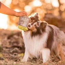 Load image into Gallery viewer, P.L.A.Y - Howling Haunts Ghoulish Grave Dog Toy