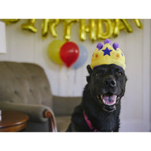 Load image into Gallery viewer, P.L.A.Y Party Time Canine Crown Plush Dog Toy