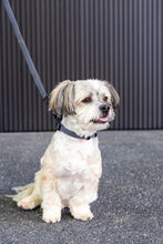 Load image into Gallery viewer, Fuzzyard Life Luxury Dog Lead - Slate grey