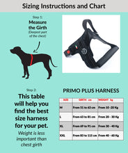 Load image into Gallery viewer, Tre Ponti Primo Plus Orange Harness