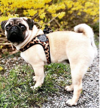 Load image into Gallery viewer, Tre Ponti Easy Fit Classic Harness with Leopard Faux Fur