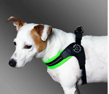 Load image into Gallery viewer, Tre Ponti Easy Fit Mesh Fluro Green Harness with Adjustable Girth