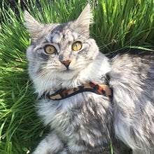 Load image into Gallery viewer, Tre Ponti Easy Fit Classic Harness with Leopard Faux Fur