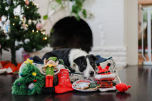Load image into Gallery viewer, P.L.A.Y Merry Woofmass - Doglas fur Dog Toy