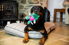 Load image into Gallery viewer, GiGwi I'm Hero TPR Armor Alligator TPR/Plush with Squeaker