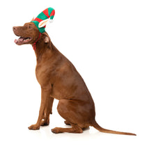 Load image into Gallery viewer, Fuzzyard Elf Hat