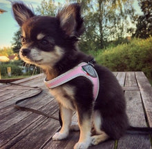 Load image into Gallery viewer, Tre Ponti Easy Fit Liberta Pink Harness with No Escape Adjustable Closure