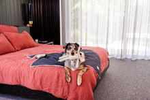 Load image into Gallery viewer, Fuzzyard Life Luxury Comforter Blanket - French Blue