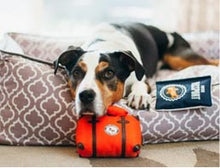 Load image into Gallery viewer, P.L.A.Y Pupster Passport Plush Dog Toy