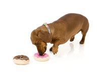 Load image into Gallery viewer, FuzzYard Double Donuts Plush Dog Toy Set with Squeakers