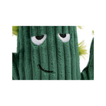 Load image into Gallery viewer, P.L.A.Y Blooming Buddies Prickly Pup Cactus Plush Dog Toy
