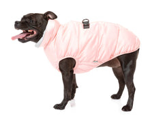 Load image into Gallery viewer, Fuzzyard The Eastcoast Harness Jacket - Pink