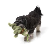 Load image into Gallery viewer, FuzzYard Scratchy the Green Flea Plush Dog Toy