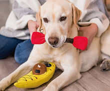 Load image into Gallery viewer, P.L.A.Y Camp Corbin K9 Kayak Plush Dog Toy