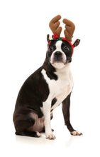 Load image into Gallery viewer, Fuzzyard Reindeer Antlers