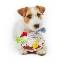 Load image into Gallery viewer, Pet London Squeaky Birthday Cake Dog Toy | Rainbow Rope Candles