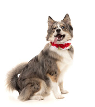 Load image into Gallery viewer, Fuzzyard Jingle Bells Collar