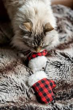 Load image into Gallery viewer, P.L.A.Y Feline Frenzy Kitten Mittens Cat Toy Set of 2