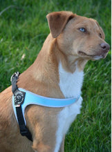 Load image into Gallery viewer, Tre Ponti Easy Fit Light Blue Harness with Adjustable Girth