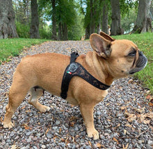 Load image into Gallery viewer, Tre Ponti Easy Fit Camouflage Harness with Adjustable Girth