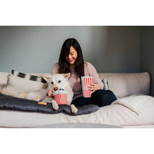 Load image into Gallery viewer, P.L.A.Y Hollywoof Poppin’ Pupcorn Plush Dog Toy