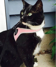 Load image into Gallery viewer, Tre Ponti Easy Fit Liberta Pink Harness with No Escape Adjustable Closure