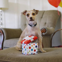 Load image into Gallery viewer, P.L.A.Y. Party Time – Pawfect Present Plush Dog Toy